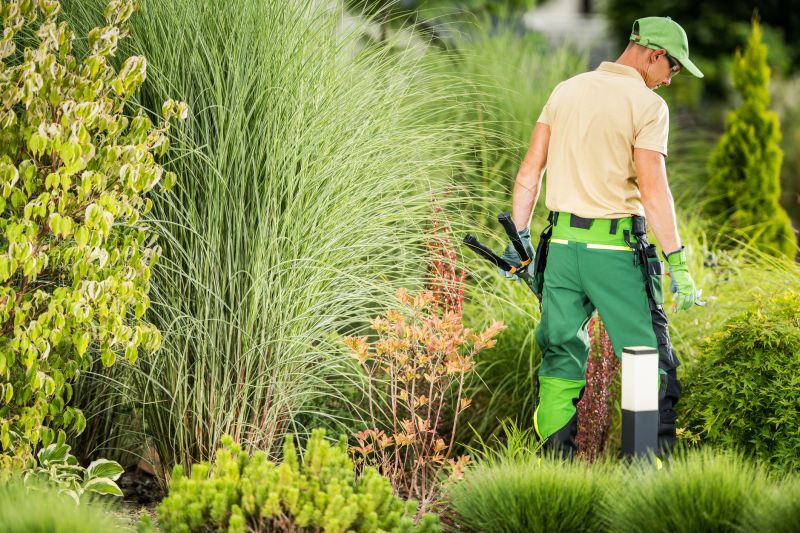 Garden Care And Landscaping