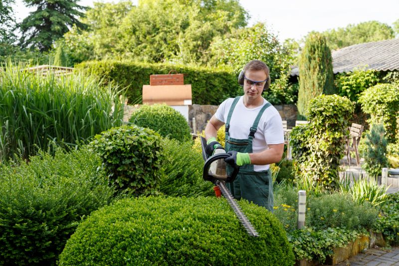 Garden Care And Landscaping