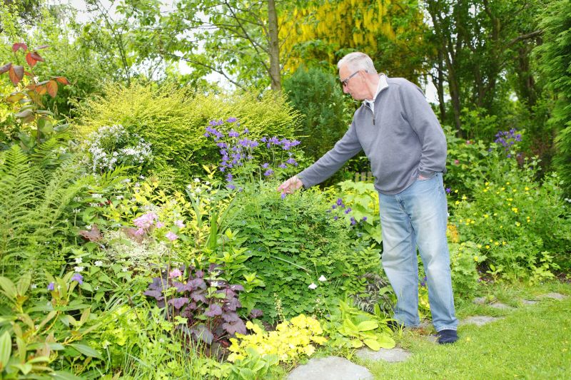 Garden Care And Landscaping detail